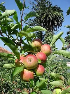 Country house Quinta D'alem *